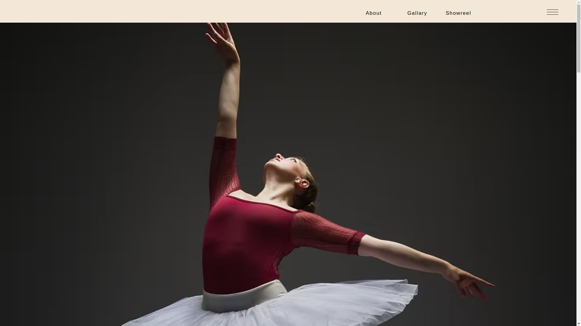 website screenshot of https://zarakristenvieira.com/