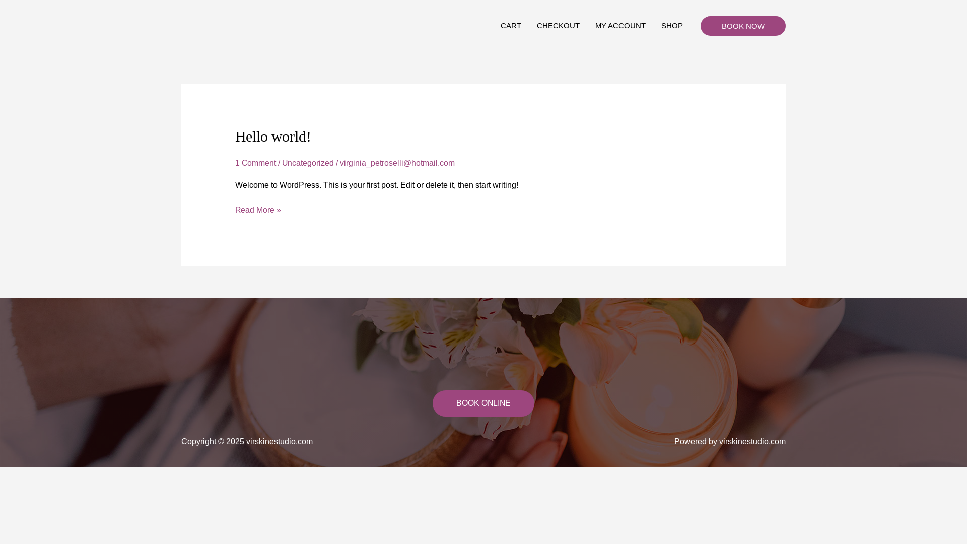 website screenshot of https://virskinestudio.com/
