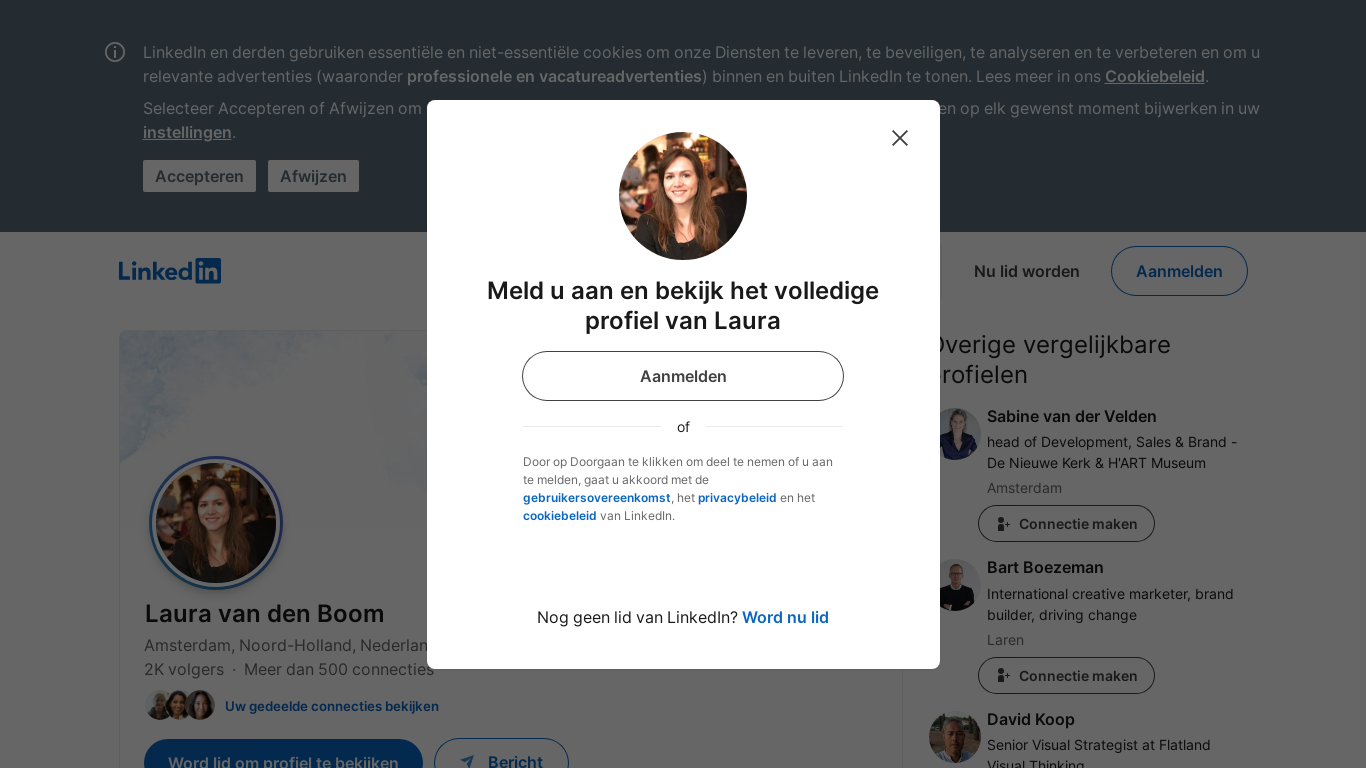 website screenshot of https://lauravdboom.com/