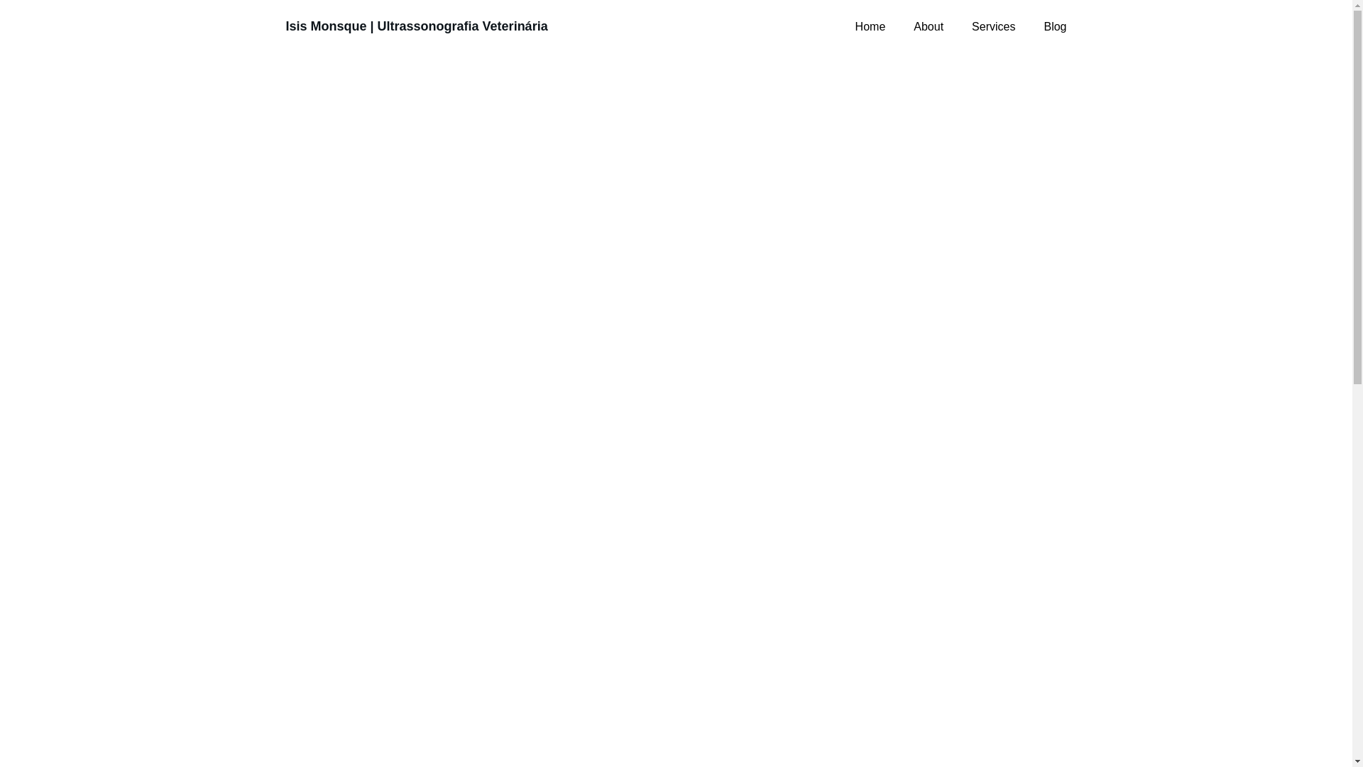 website screenshot of https://isismonsquevet.com.br/