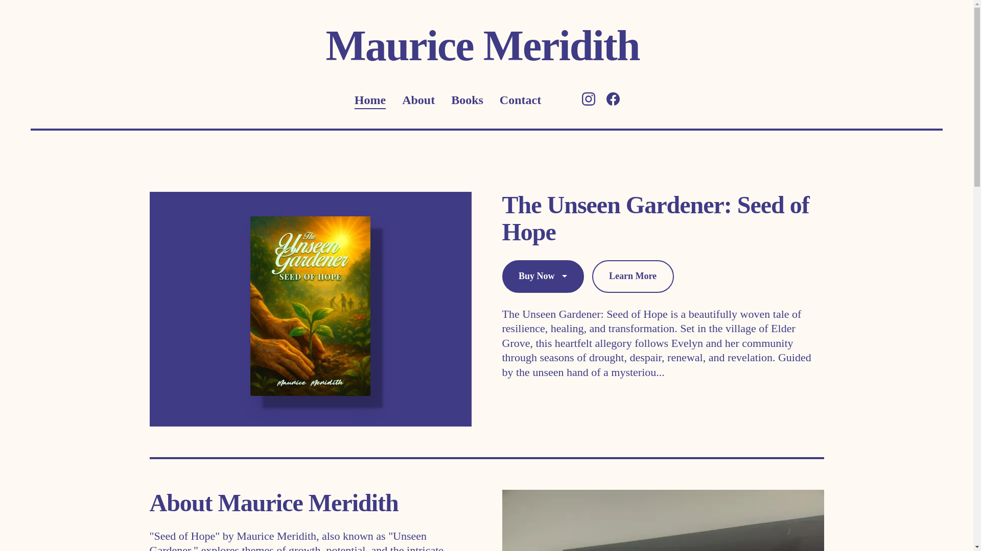website screenshot of https://mauricemeridithbooks.com/