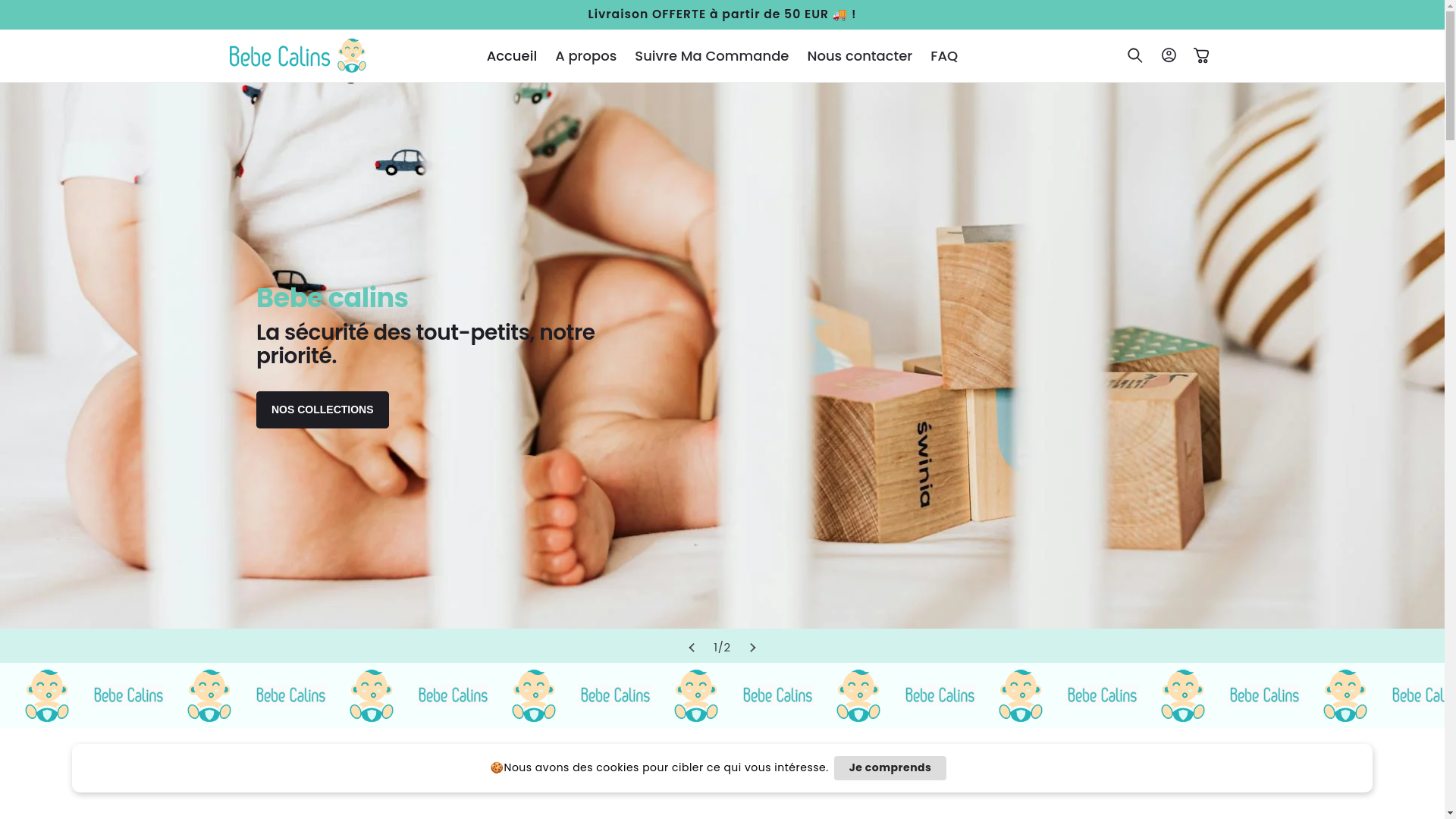 website screenshot of https://bebecaliins.com/