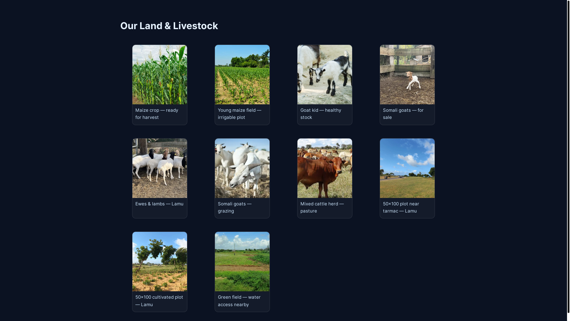 website screenshot of https://lamulandhub.com/