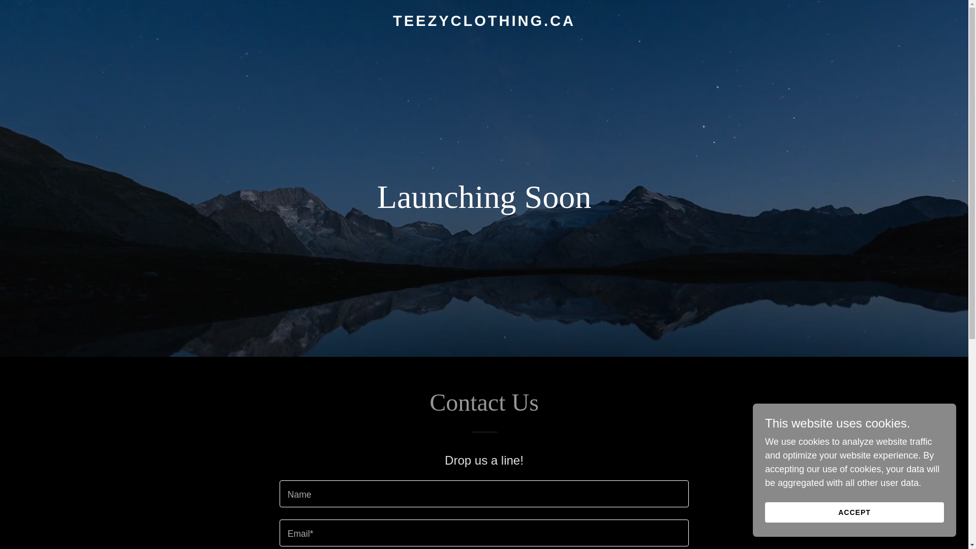 website screenshot of https://teezyclothing.ca/