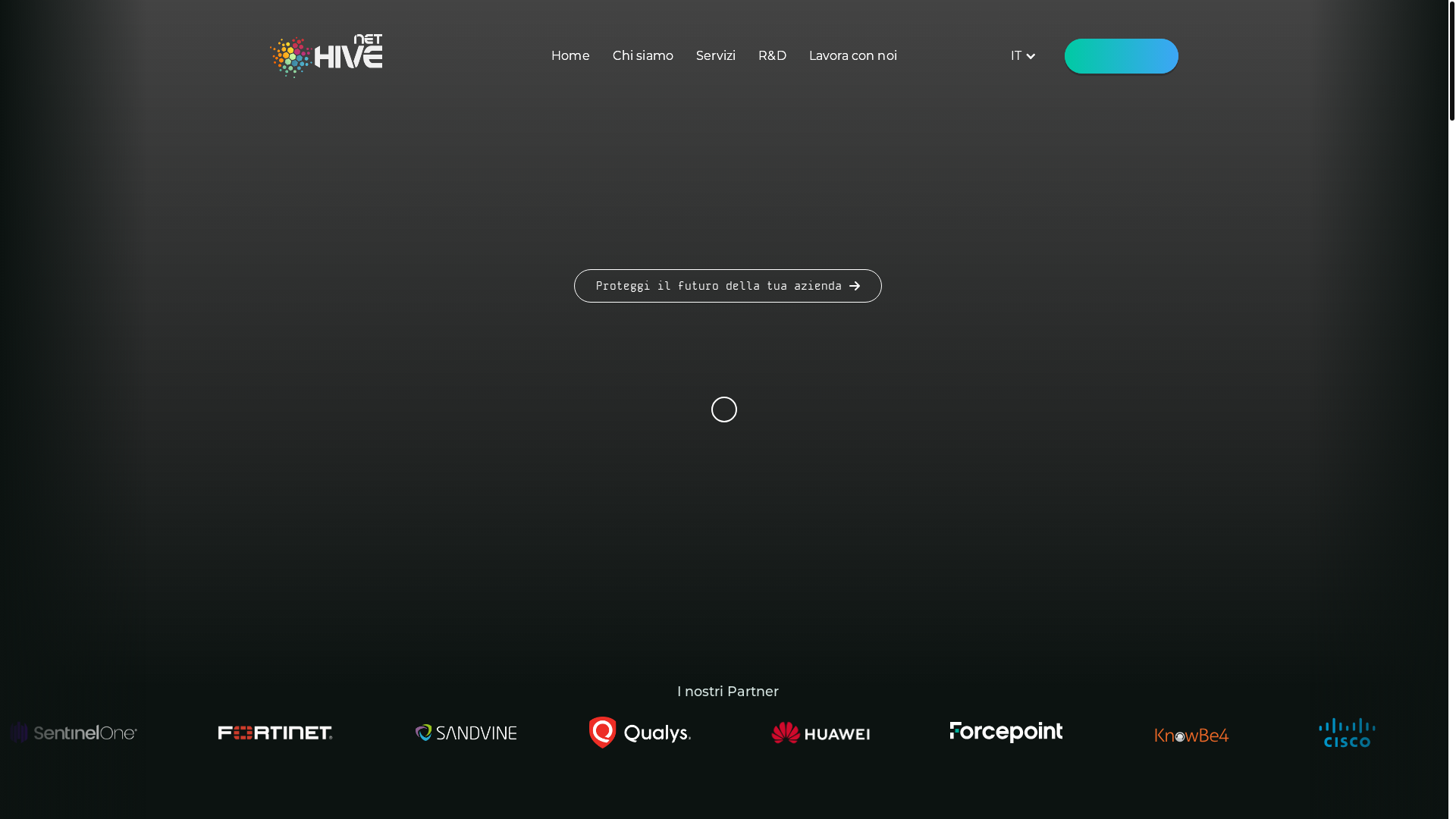 website screenshot of https://www.nethive.it/