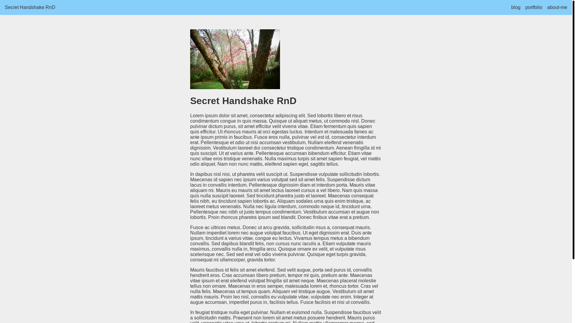 website screenshot of https://secret-handshake-rnd.pages.dev/