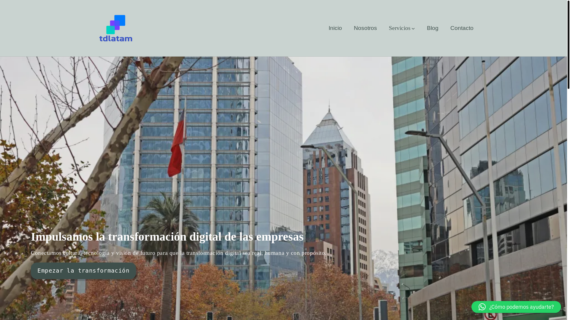 website screenshot of https://tdlatam.cl/