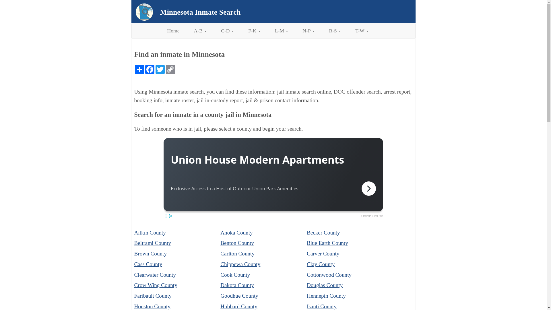 website screenshot of https://www.inmatesearchmn.org/