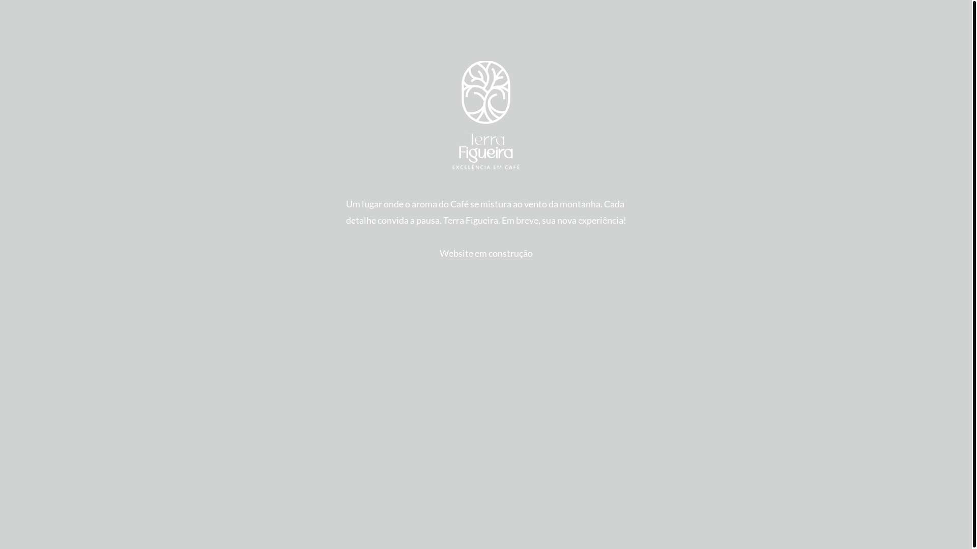 website screenshot of https://terrafigueira.com.br/