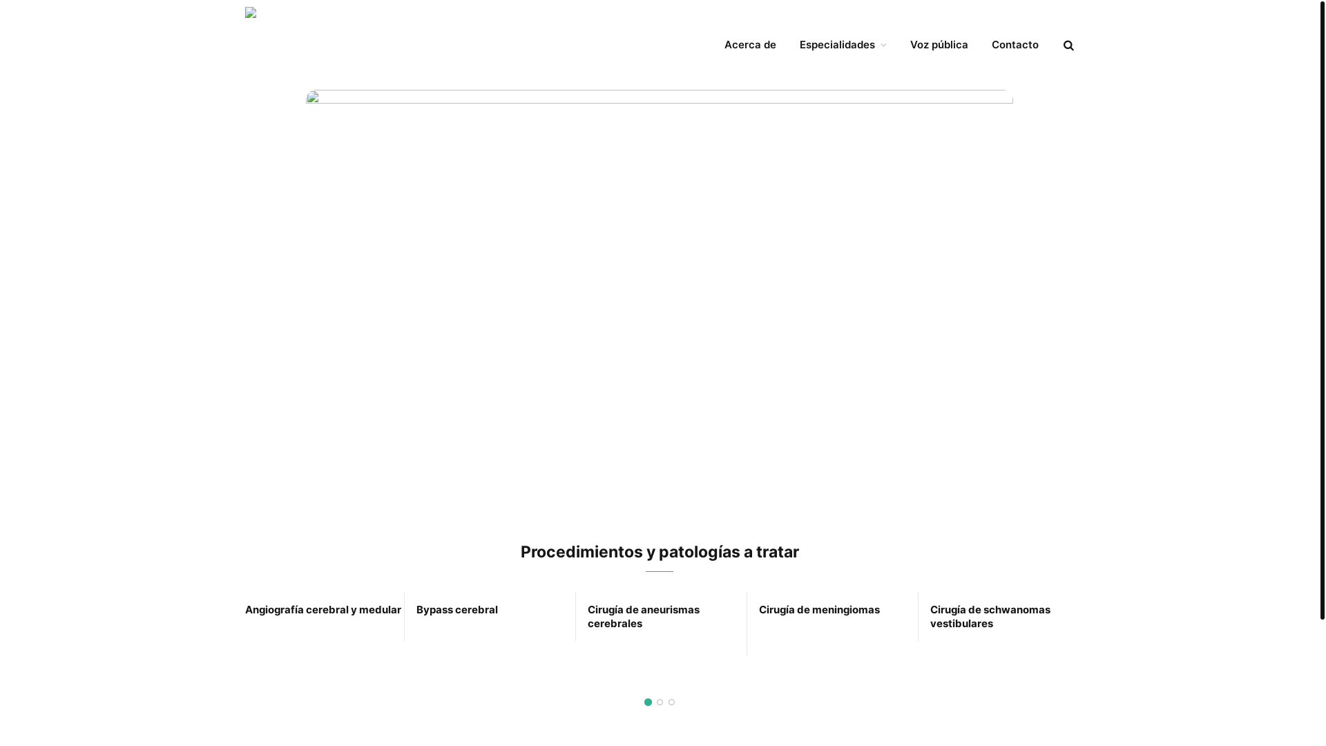 website screenshot of https://neurocirujanovascular.cl/