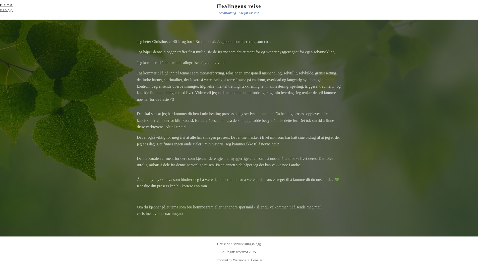 website screenshot of https://christine-blogg.no/