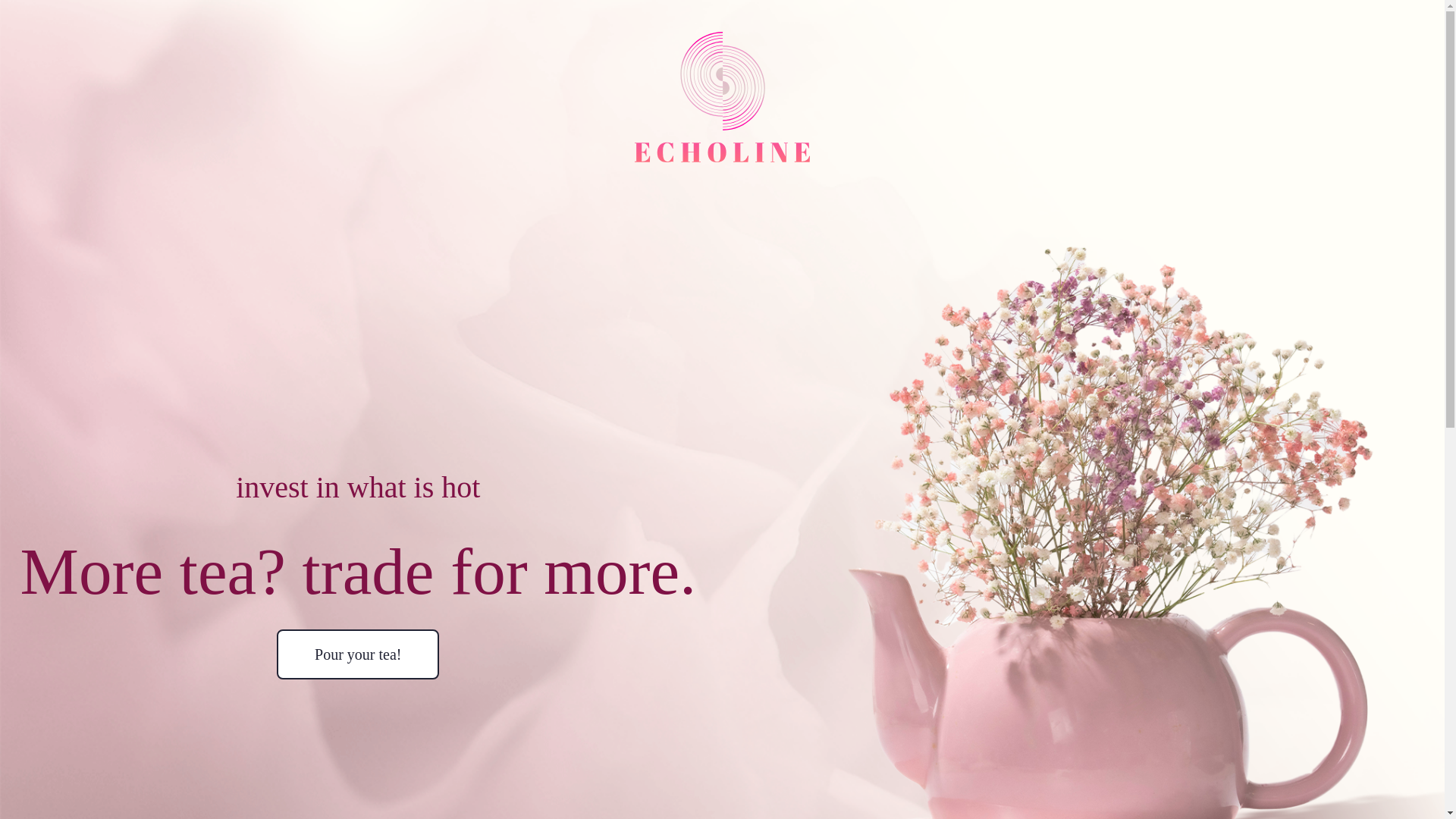 website screenshot of https://echoline.us/