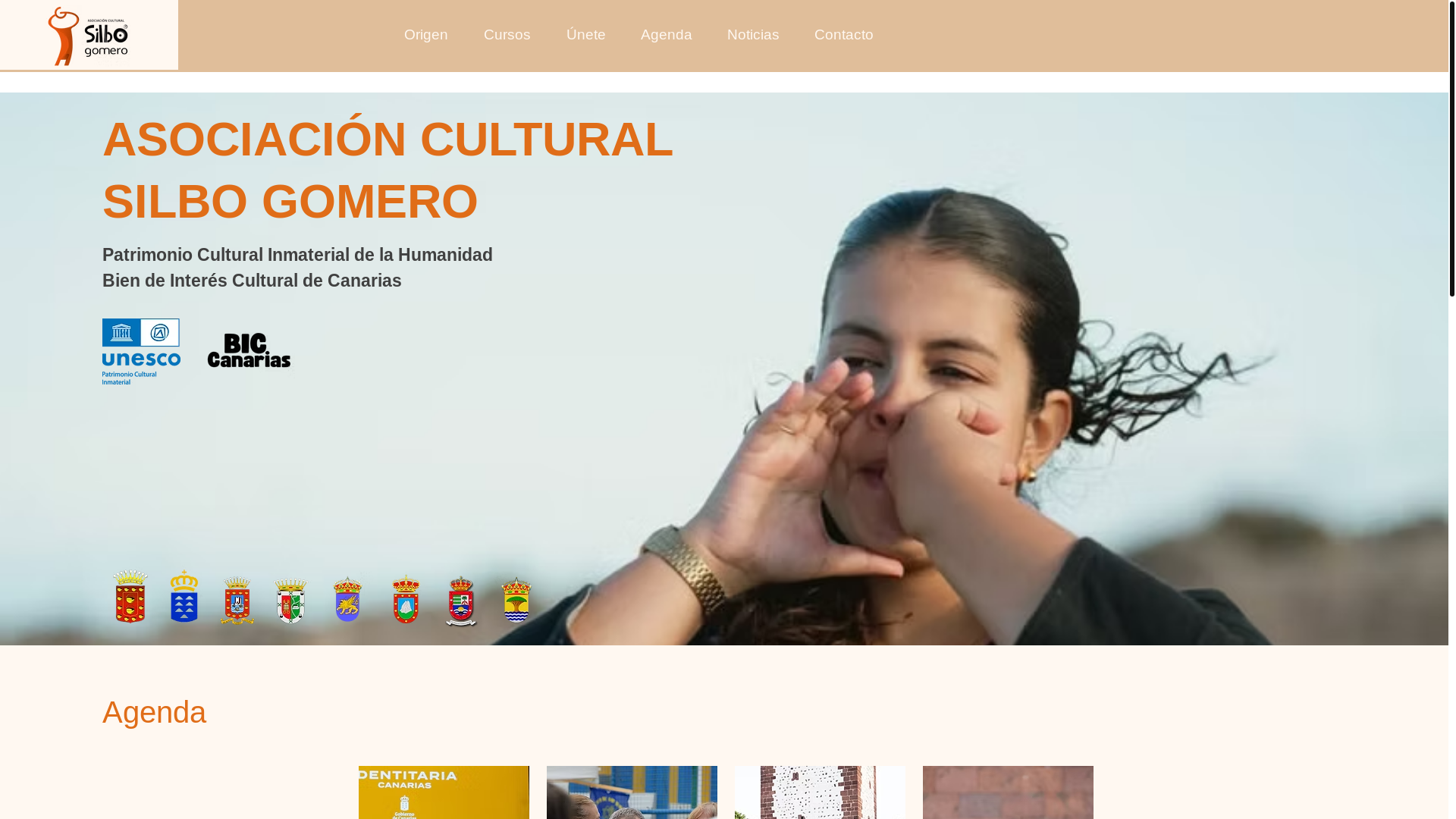 website screenshot of https://asociacionsilbogomero.com/