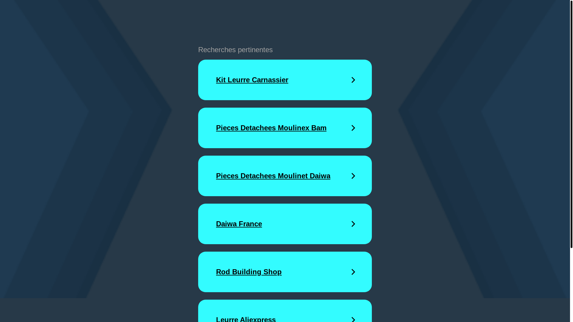 website screenshot of https://fishing-1211.de/