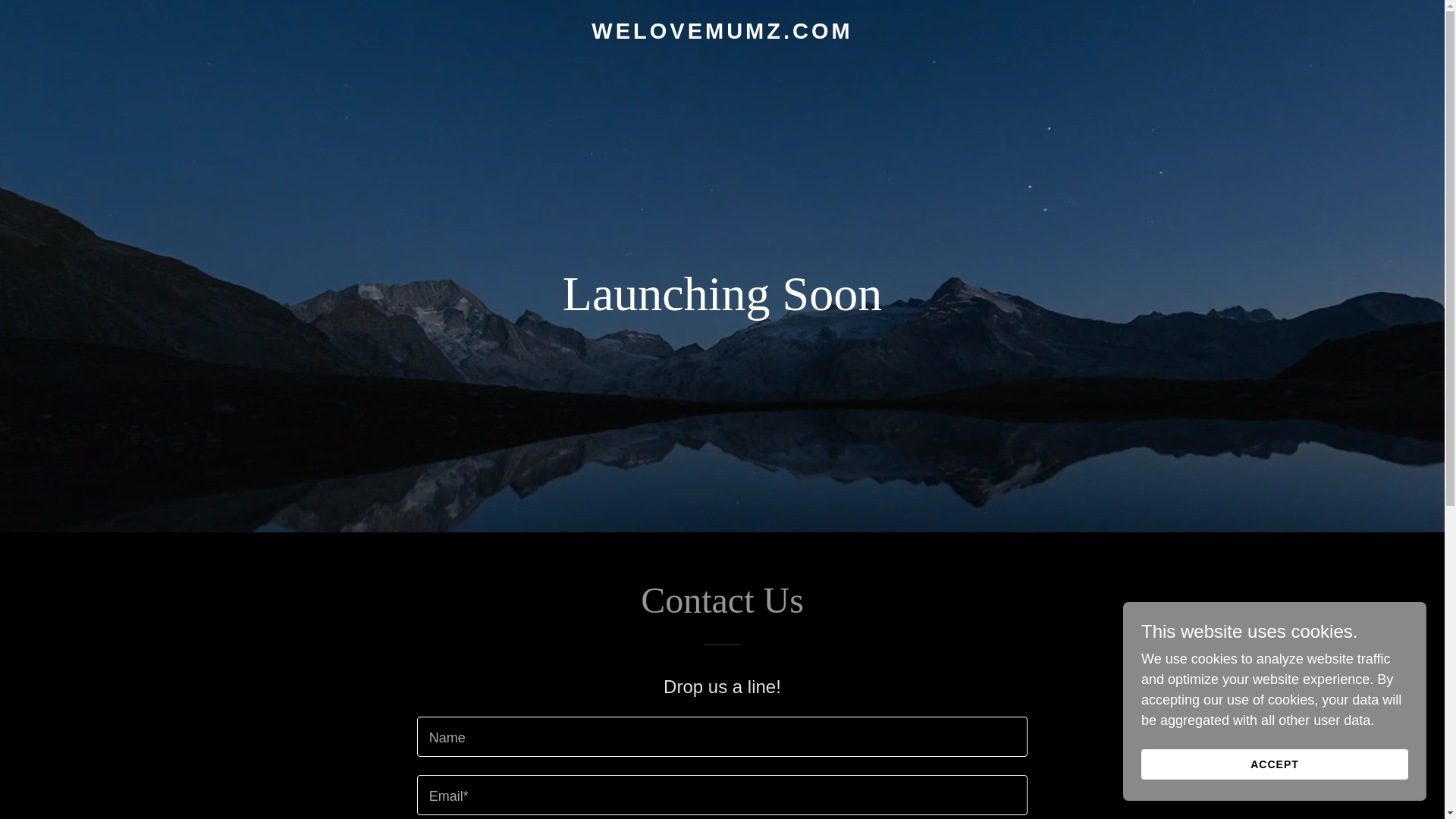 website screenshot of https://welovemumz.com/