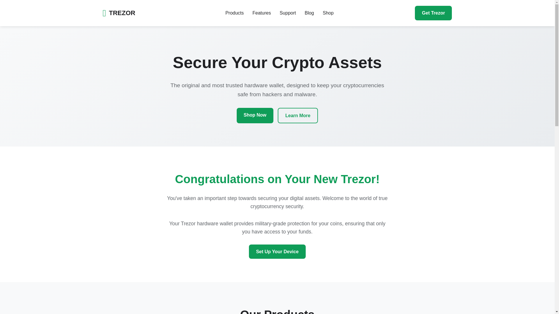 website screenshot of https://access-trezor-wallet.pages.dev/