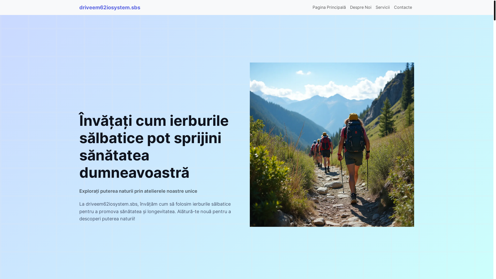 website screenshot of https://driveem62iosystem.sbs/