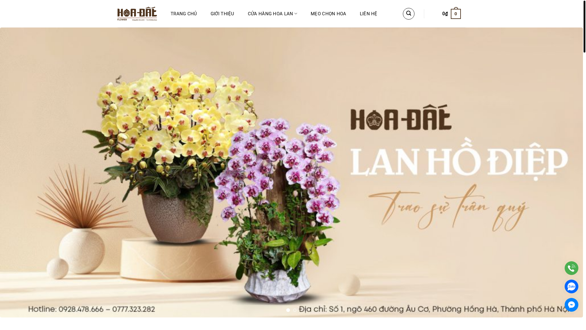 website screenshot of https://hoadatflower.vn/