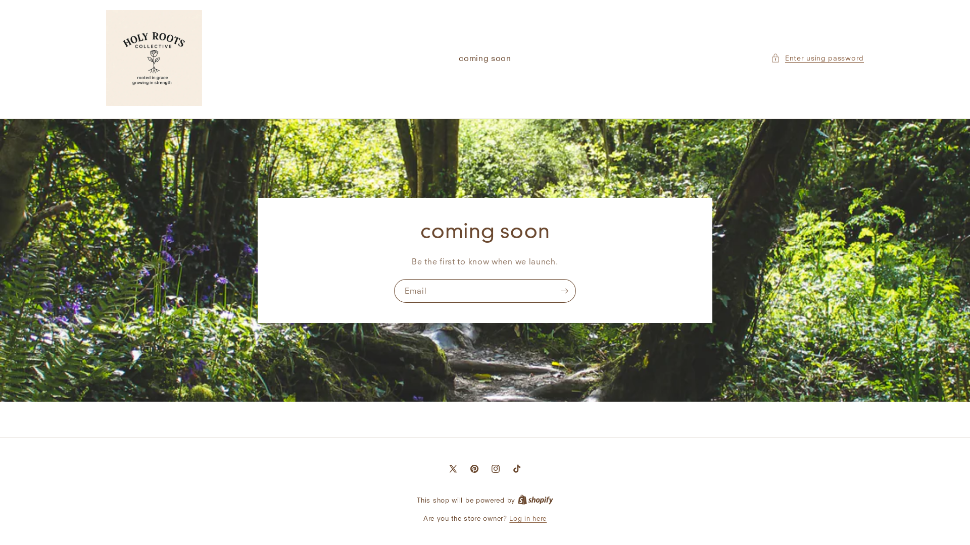 website screenshot of https://holyrootscollective.com/