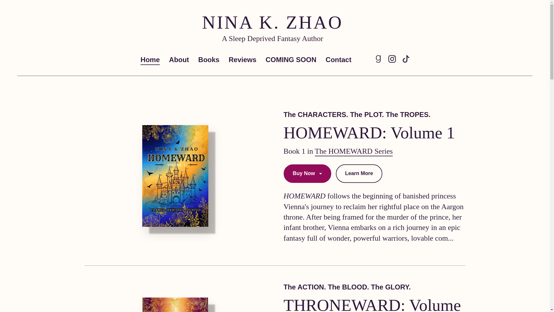 website screenshot of https://ninakzhaobooks.com/