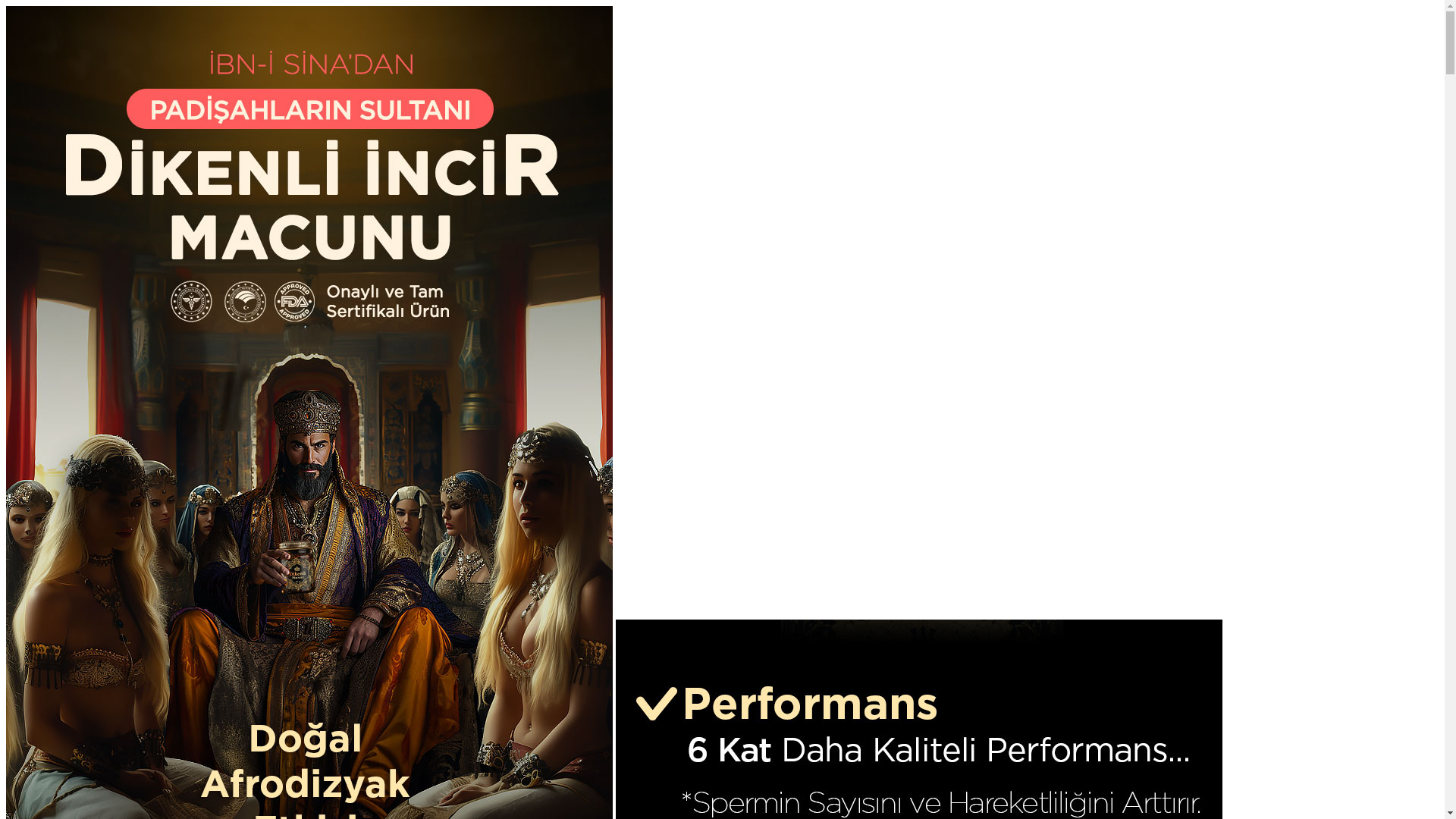 website screenshot of https://dikenliincirmacunu.com/