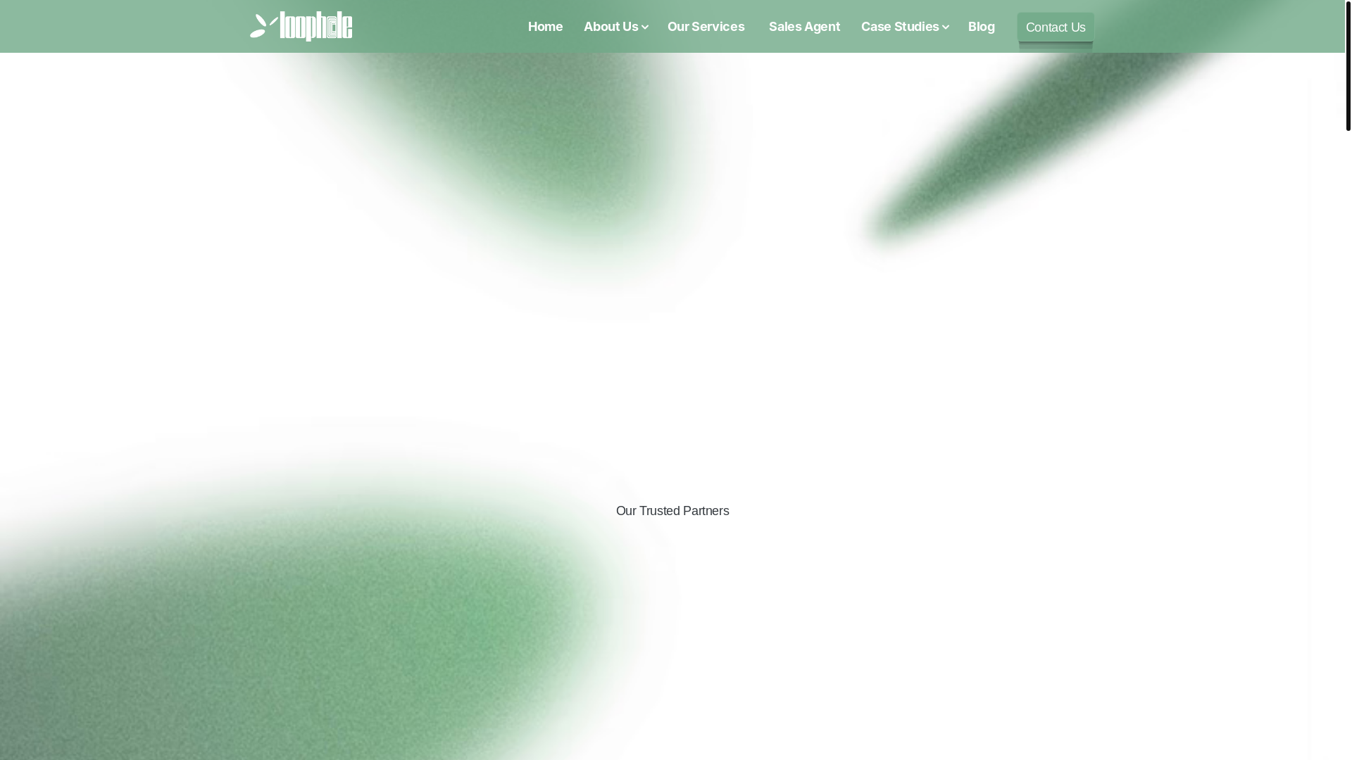 website screenshot of https://demoloopholeauto.com/