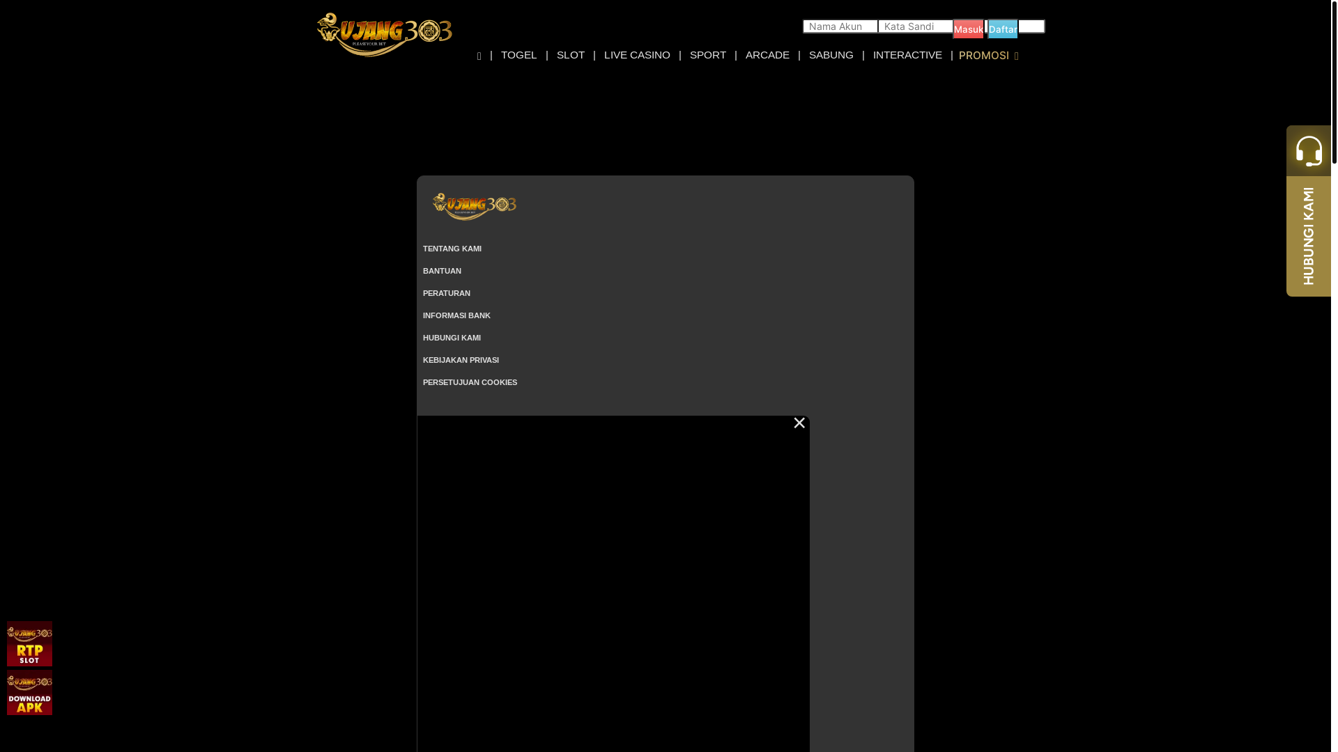 website screenshot of https://ujang303domain.com/