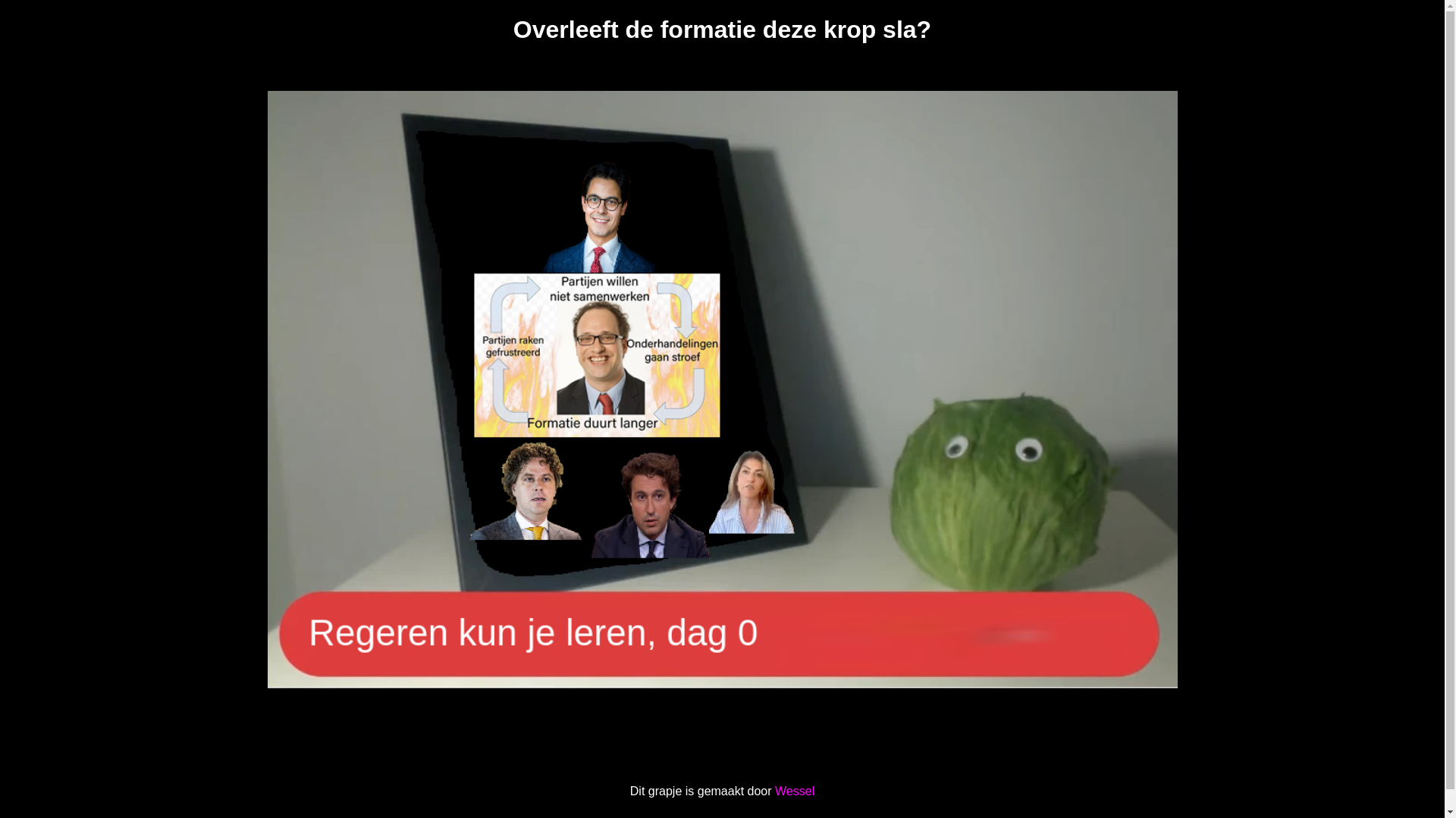 website screenshot of https://isdeformatiealgeklapt.pages.dev/