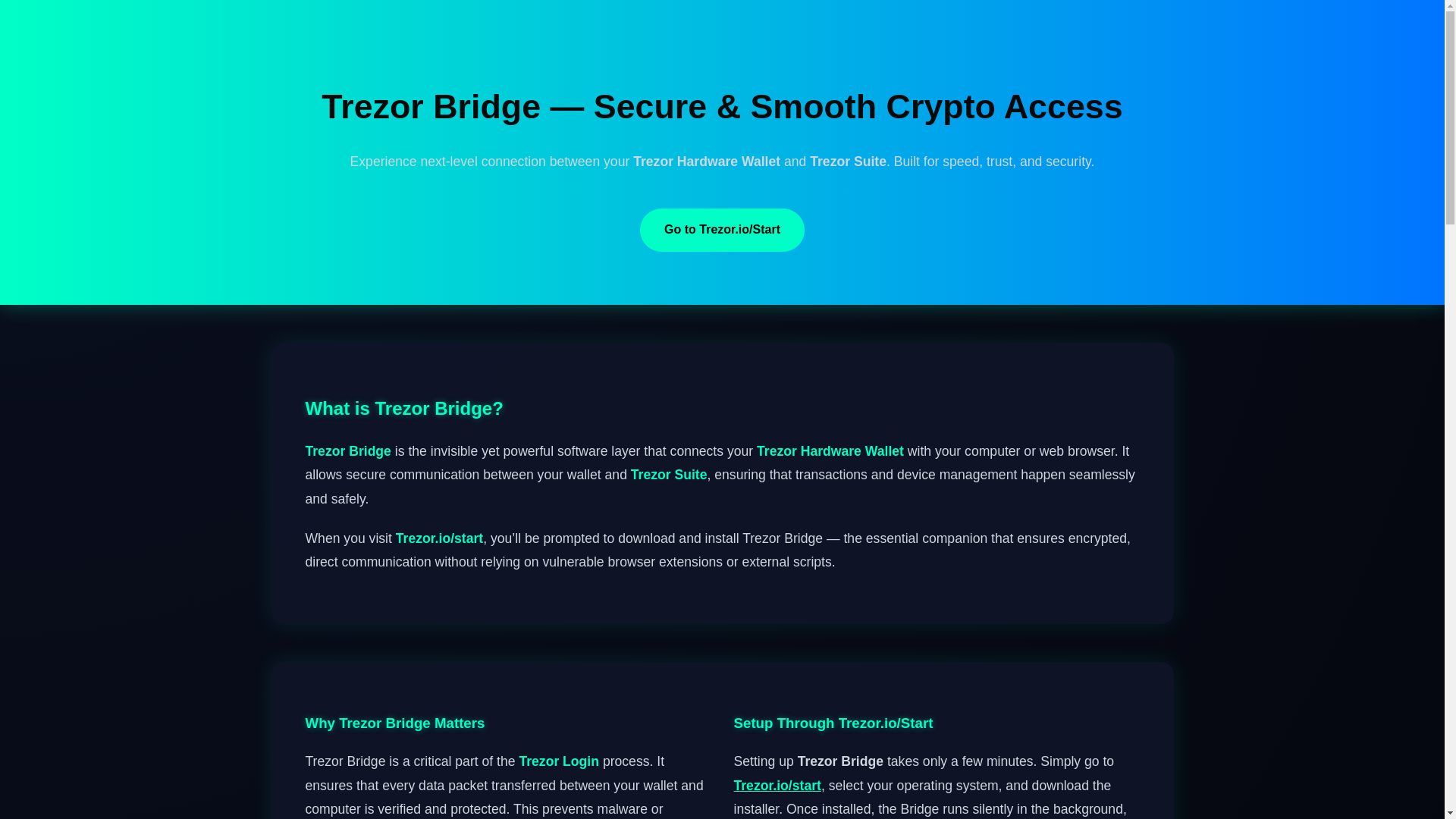 website screenshot of https://bridge-terzzor-view.pages.dev/