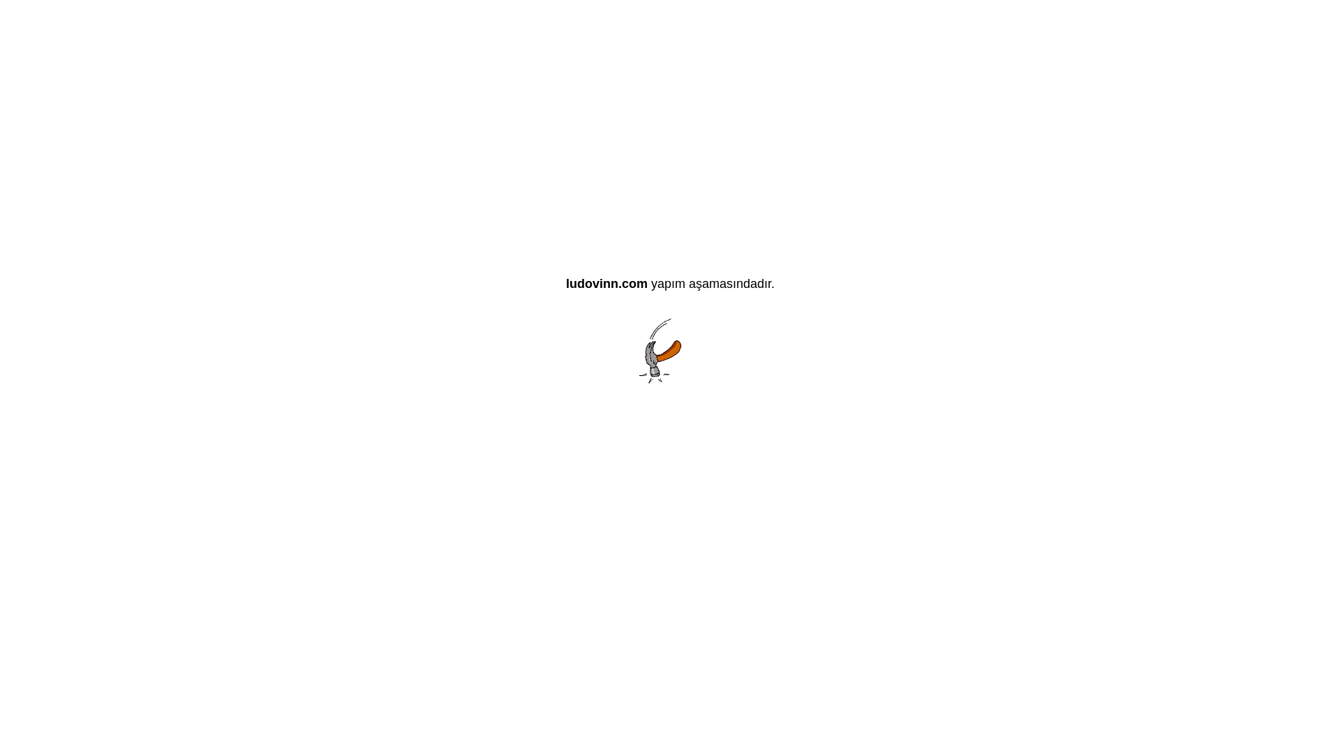 website screenshot of https://ludovinn.com/