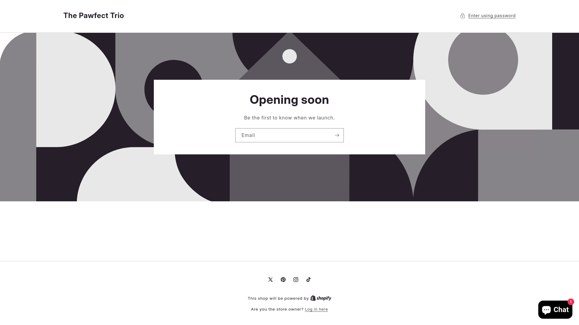 website screenshot of https://thepawfecttrio.com/