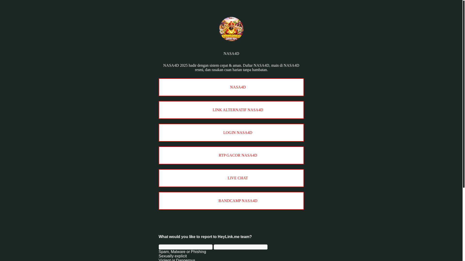 website screenshot of https://nasa4dwin.online/