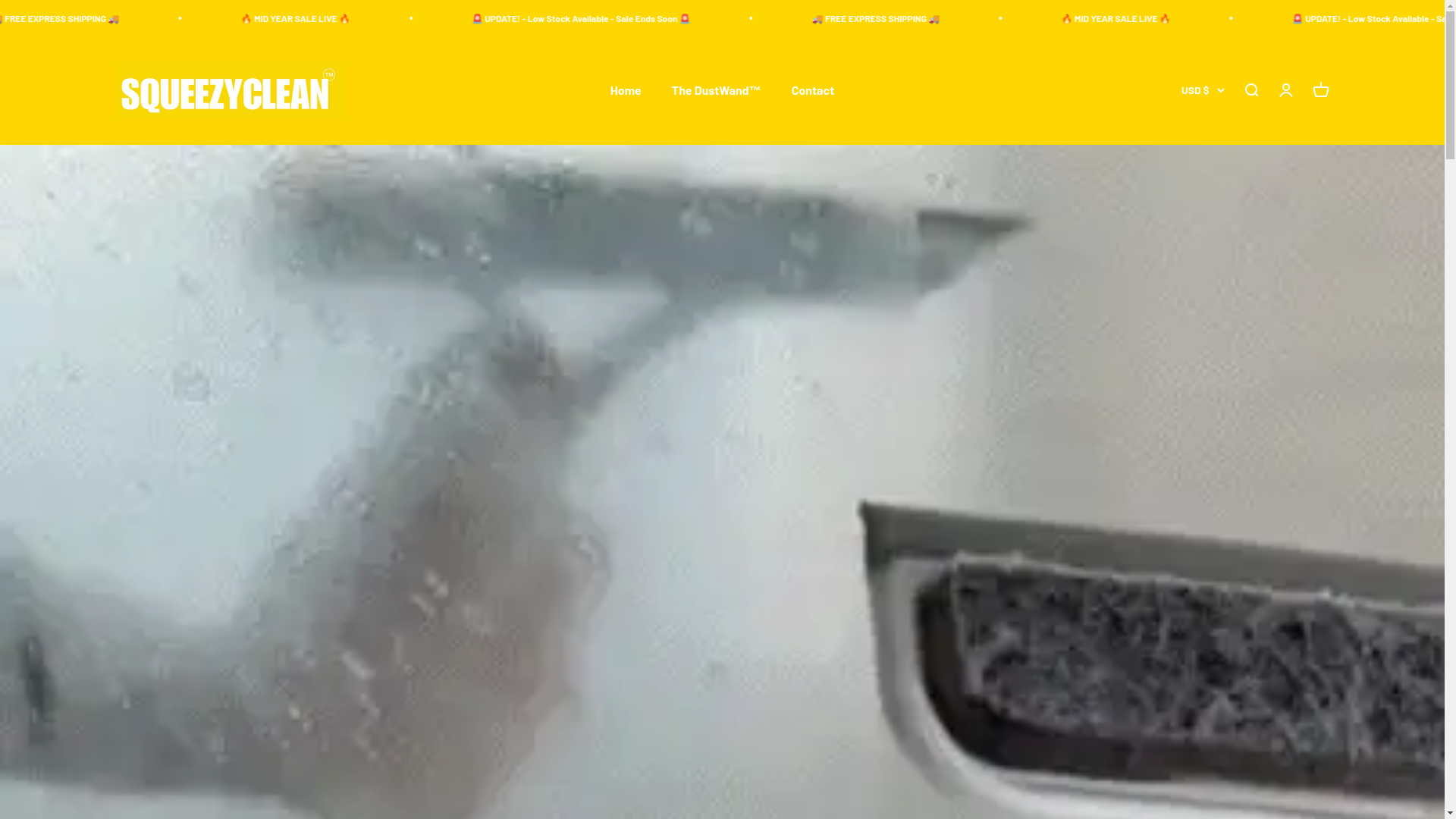 website screenshot of https://squeezycleanofficial.com/