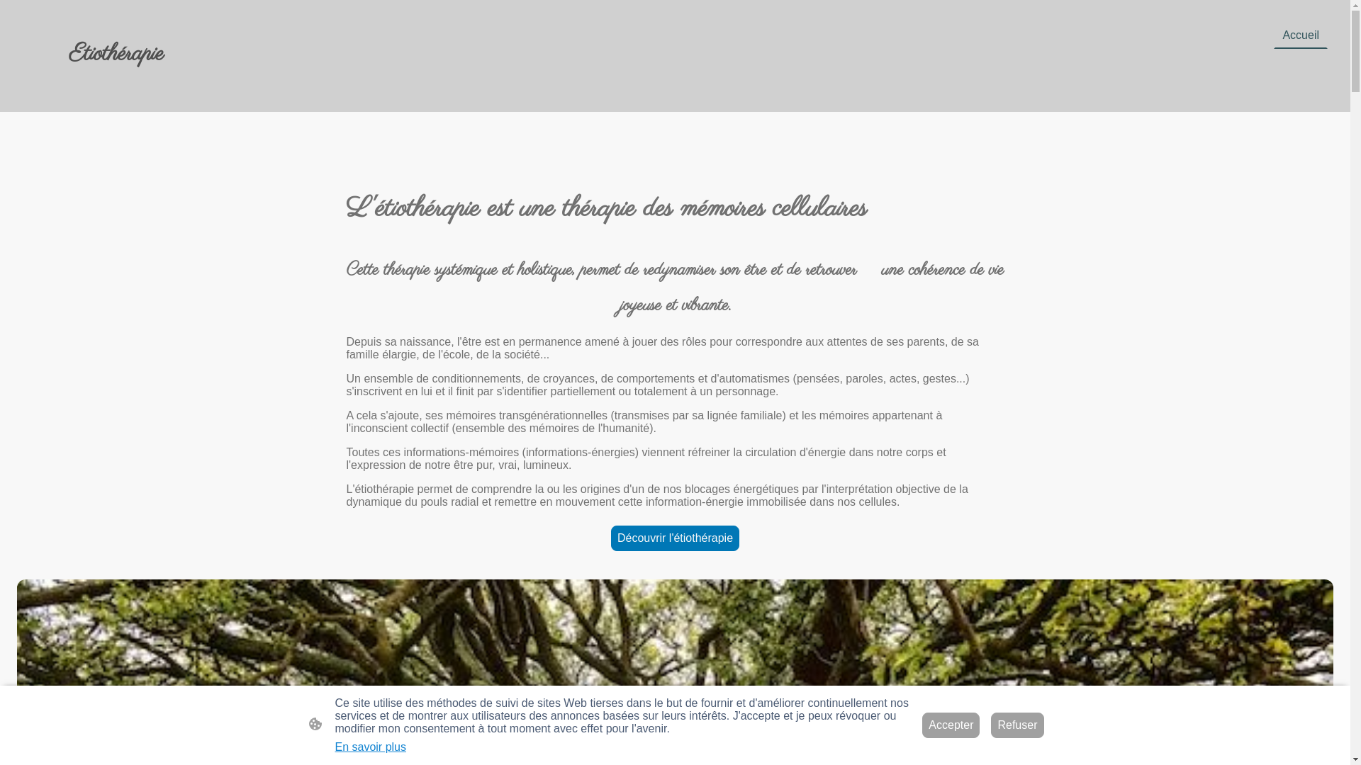 website screenshot of https://etiotherapie-bretagne.fr/