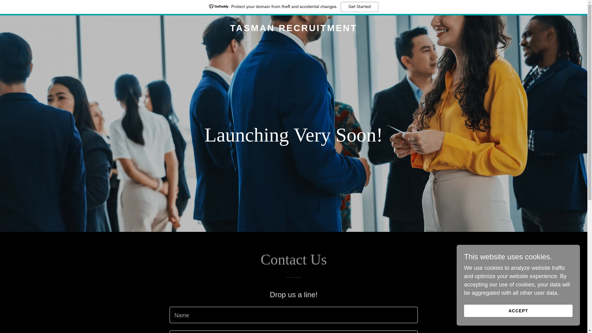 website screenshot of https://tasmanrecruitment.com/