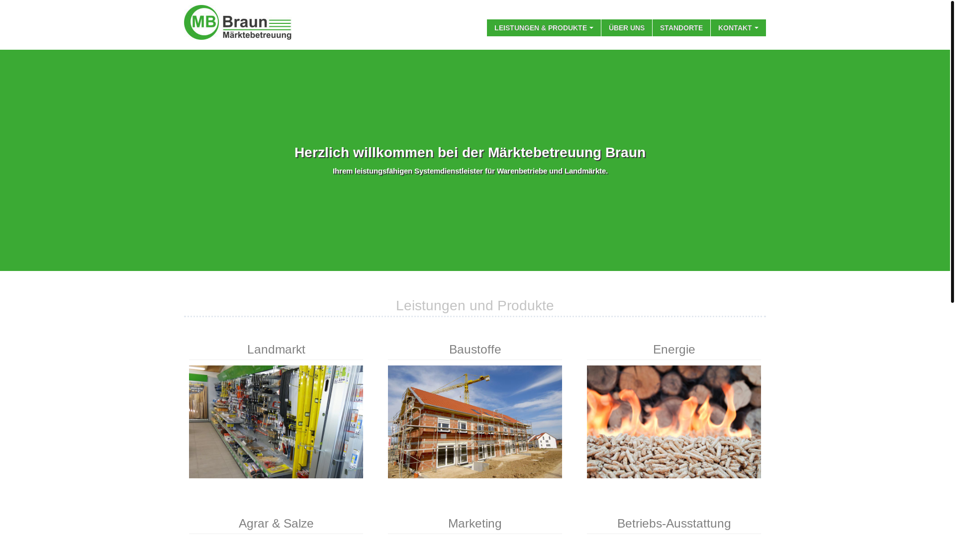 website screenshot of https://mb-braun.de/