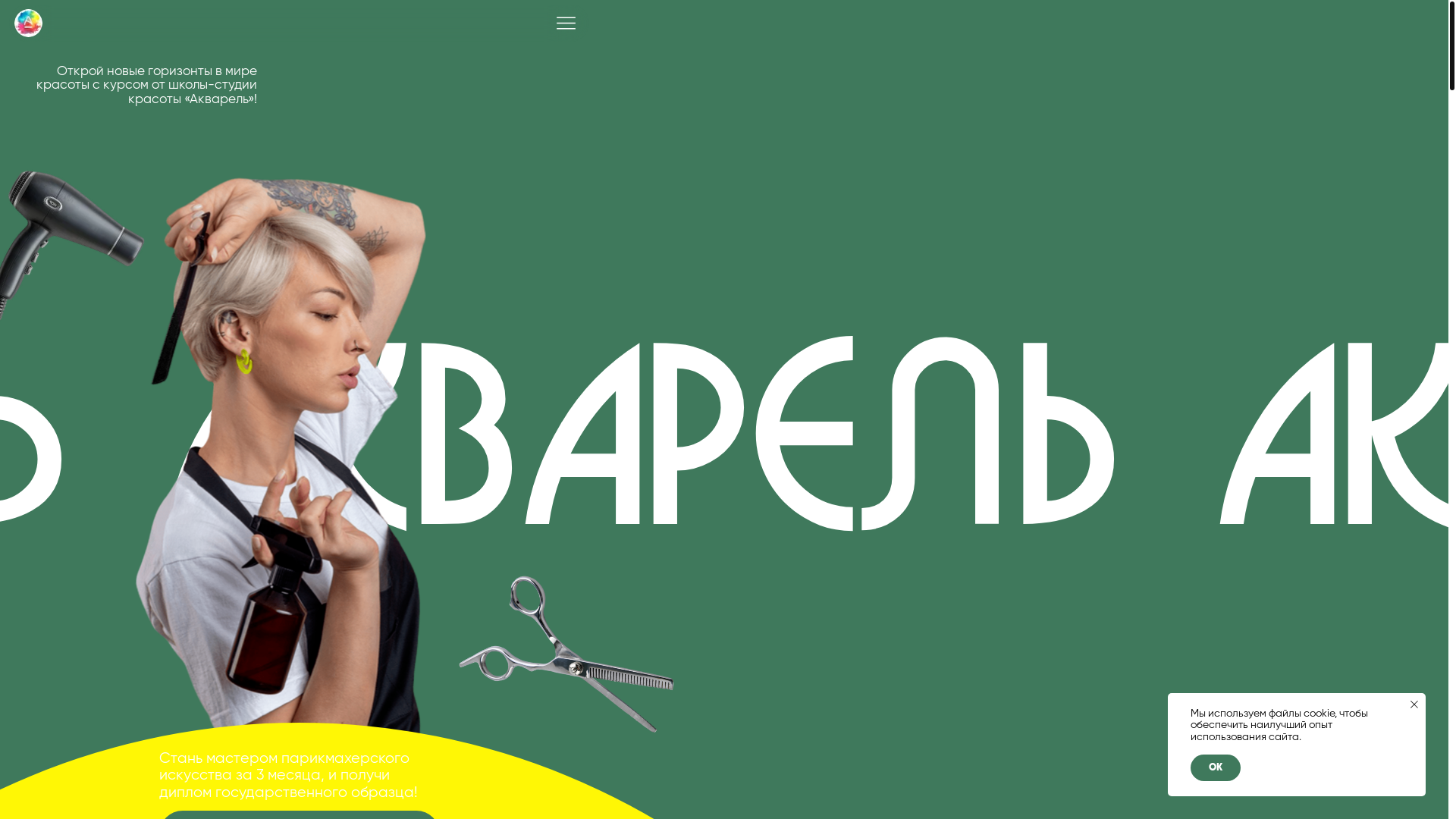 website screenshot of https://akvarel-school.ru/