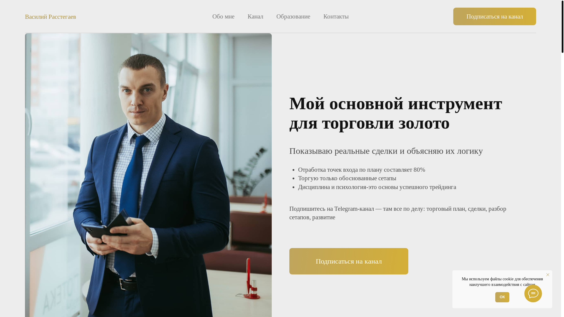 website screenshot of https://vasilyrasstegaev.ru/