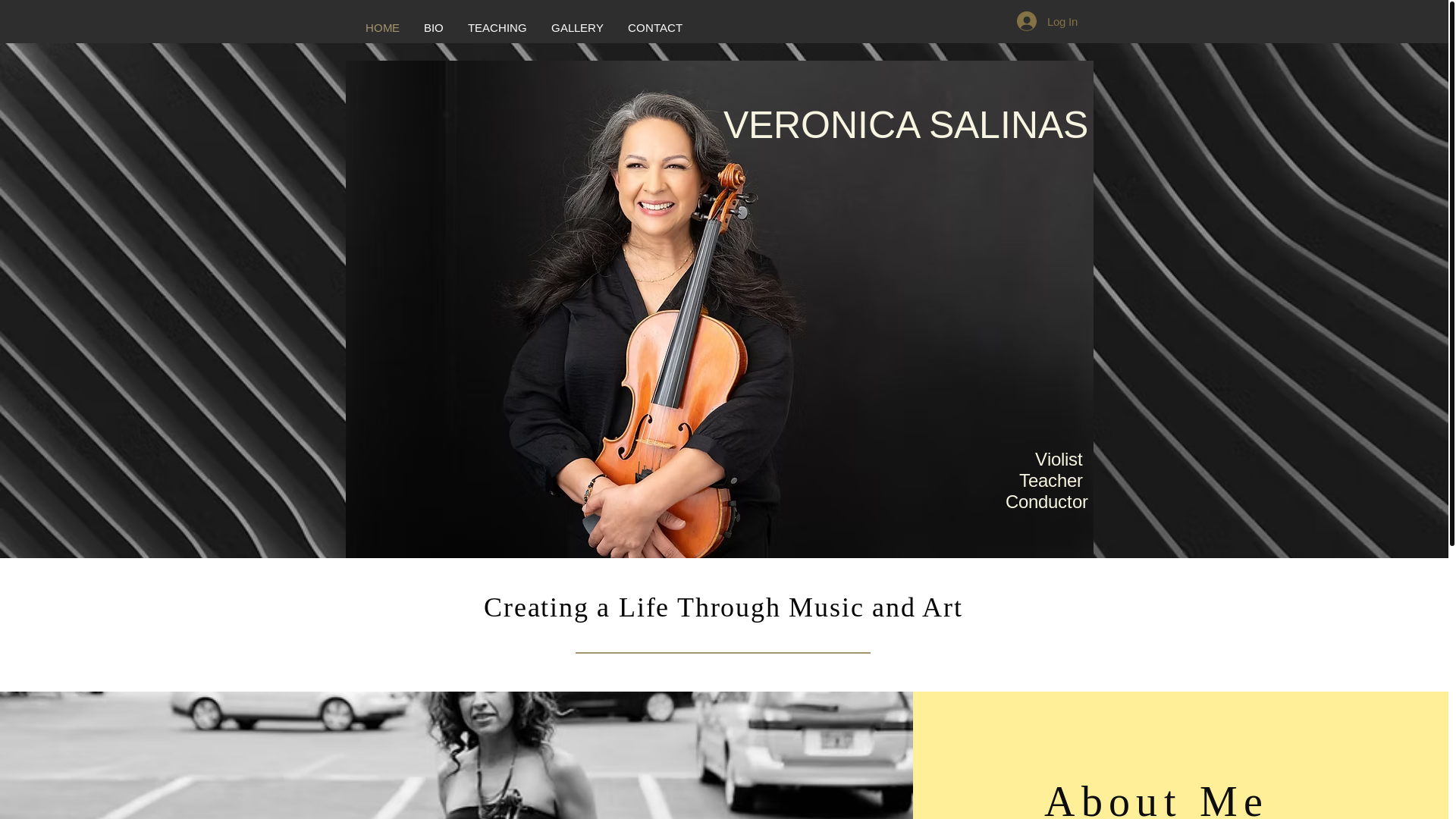 website screenshot of https://vsgcreates.com/
