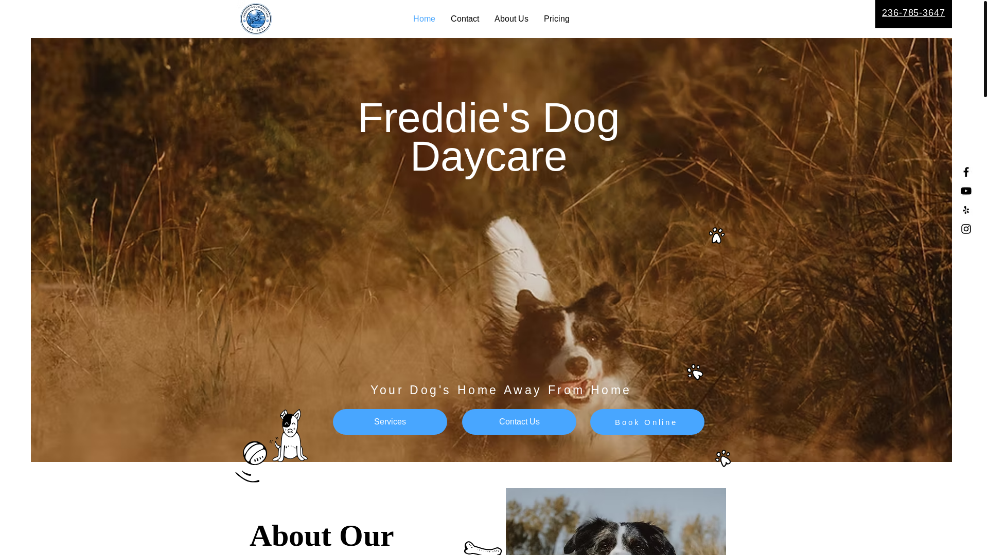 website screenshot of https://freddiesdogdaycare.ca/