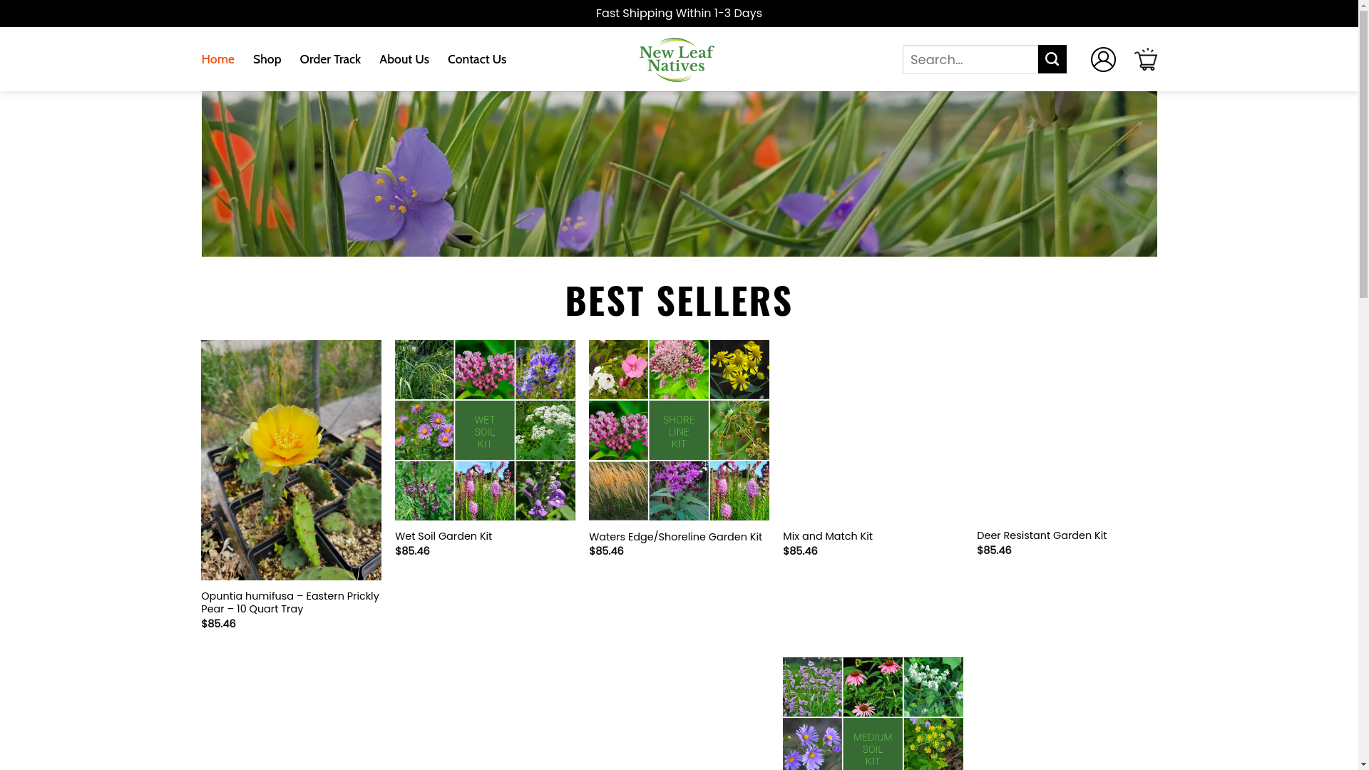 website screenshot of https://supernewleafnatives.shop/