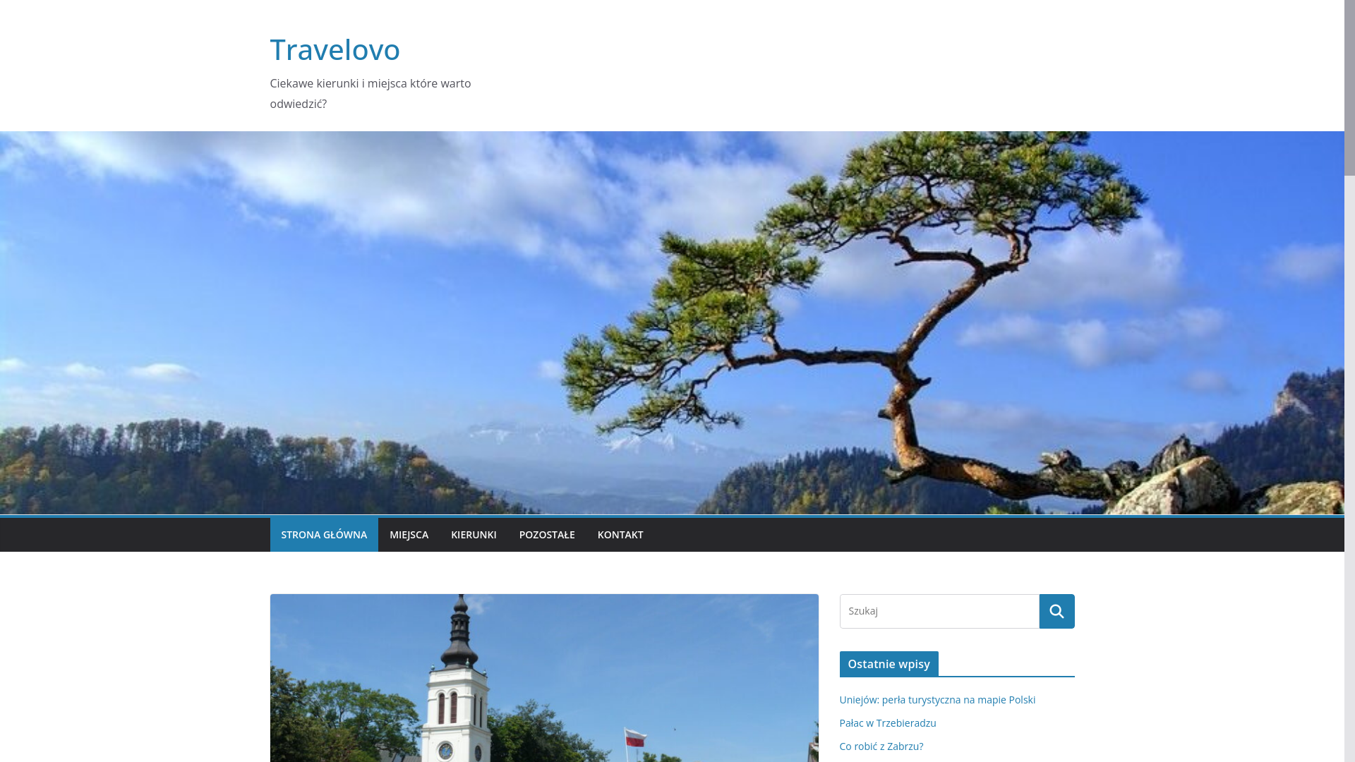 website screenshot of https://travelovo.com.pl
