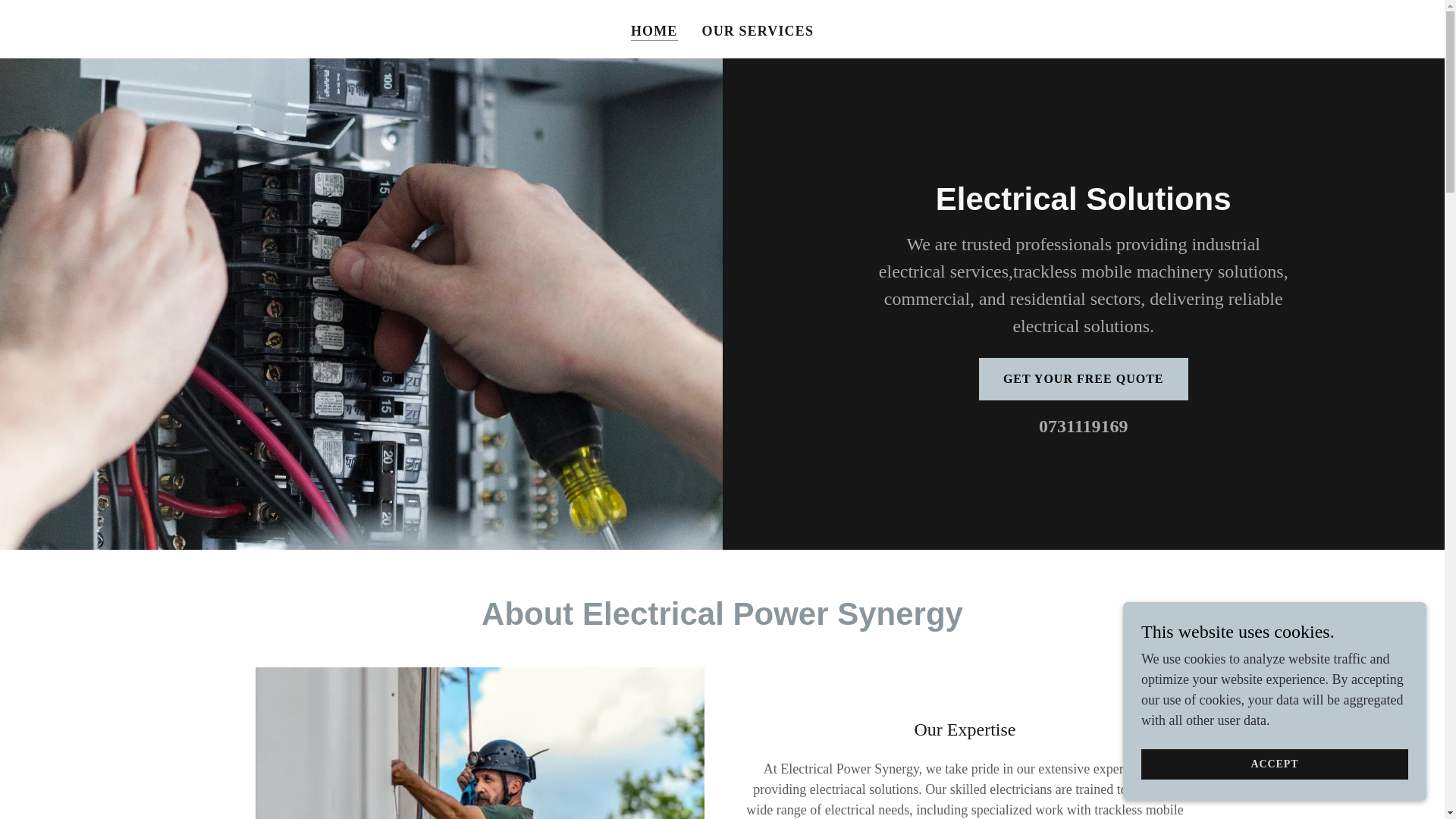website screenshot of https://electricalpowersynergy.co.za/
