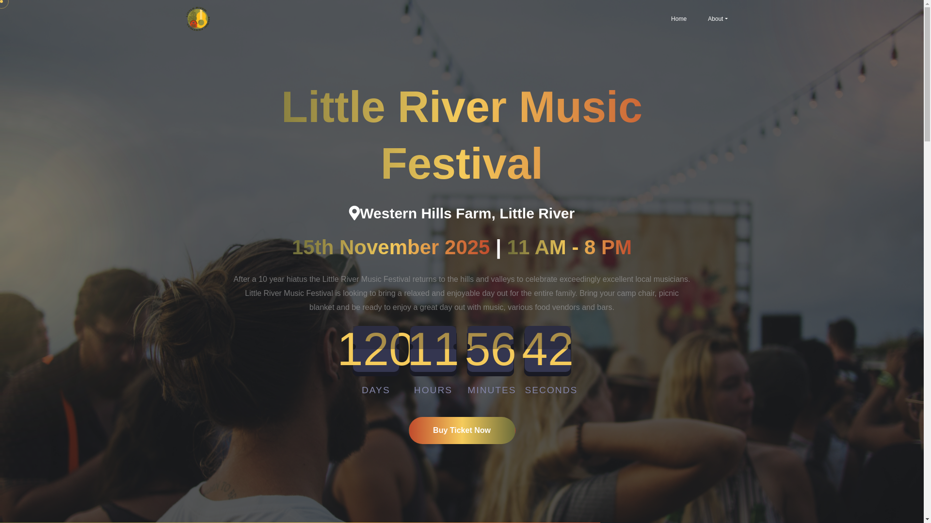 website screenshot of https://lrfestival.pages.dev/