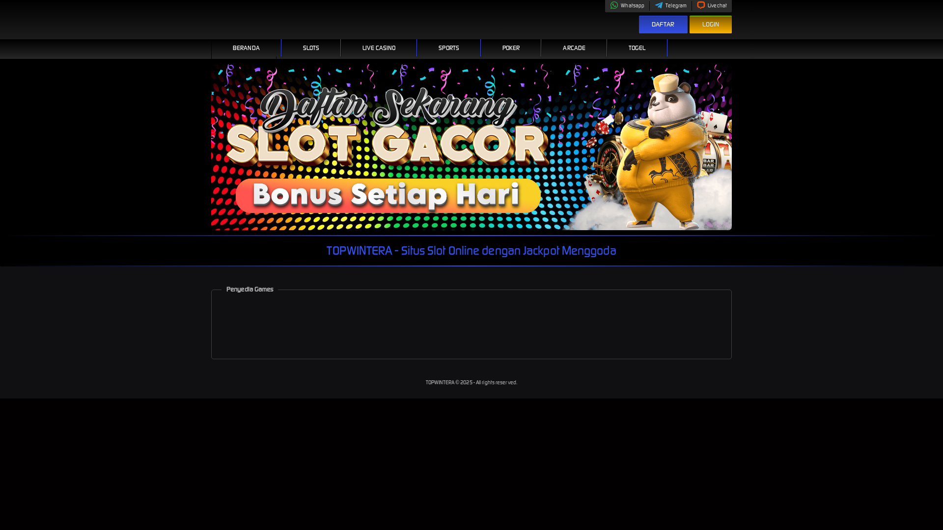website screenshot of https://topwintera.com/