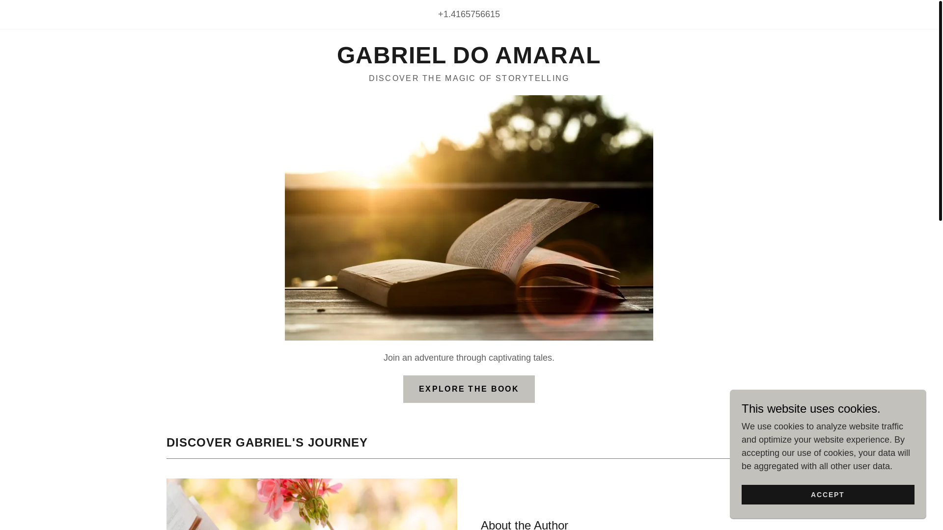 website screenshot of https://gabrieldoamaral.ca/