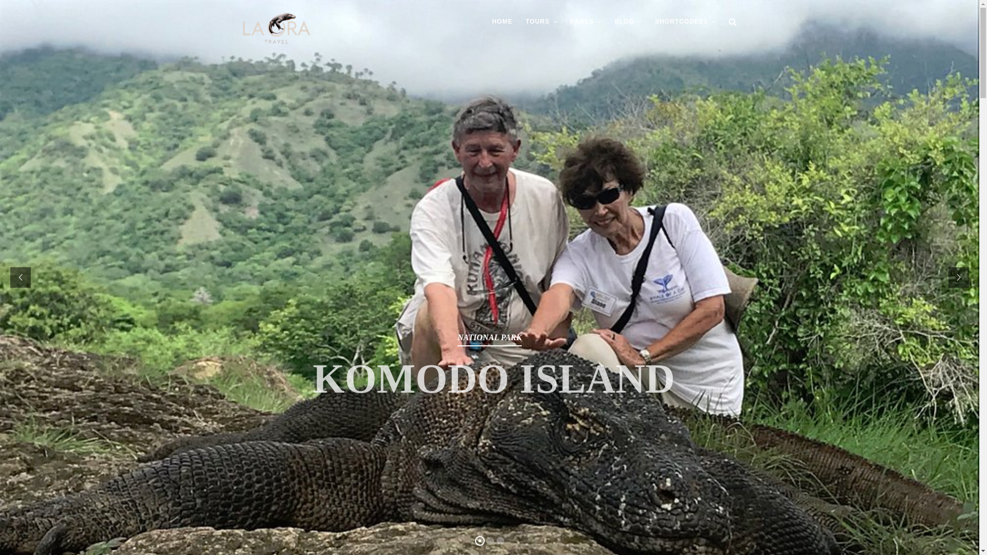 website screenshot of https://laoratravel.asia/