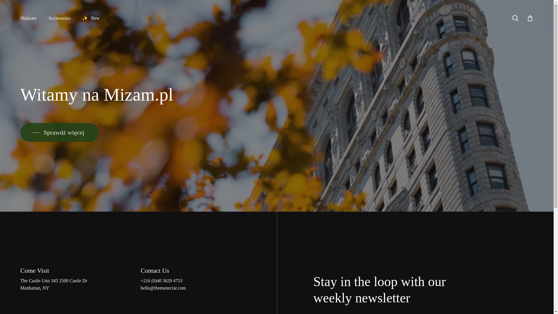 website screenshot of https://mizam.pl/