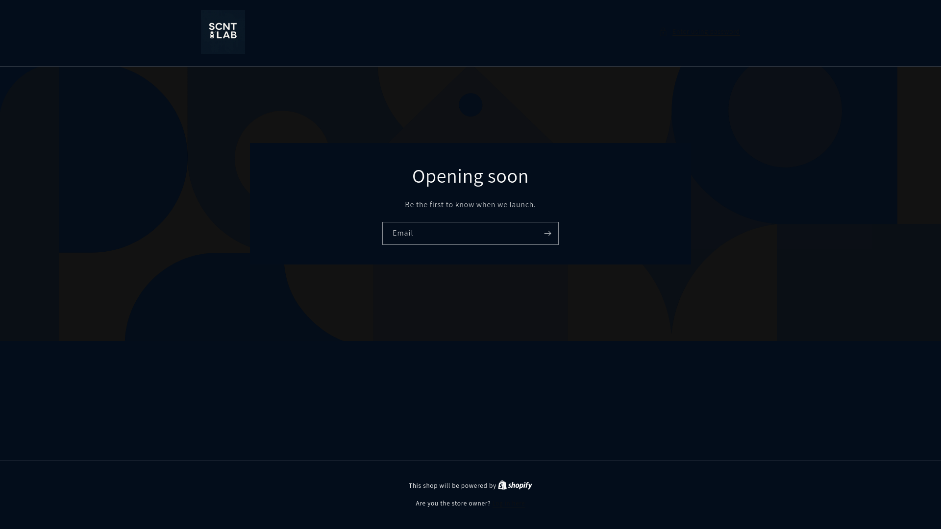 website screenshot of https://scntlab.nl/