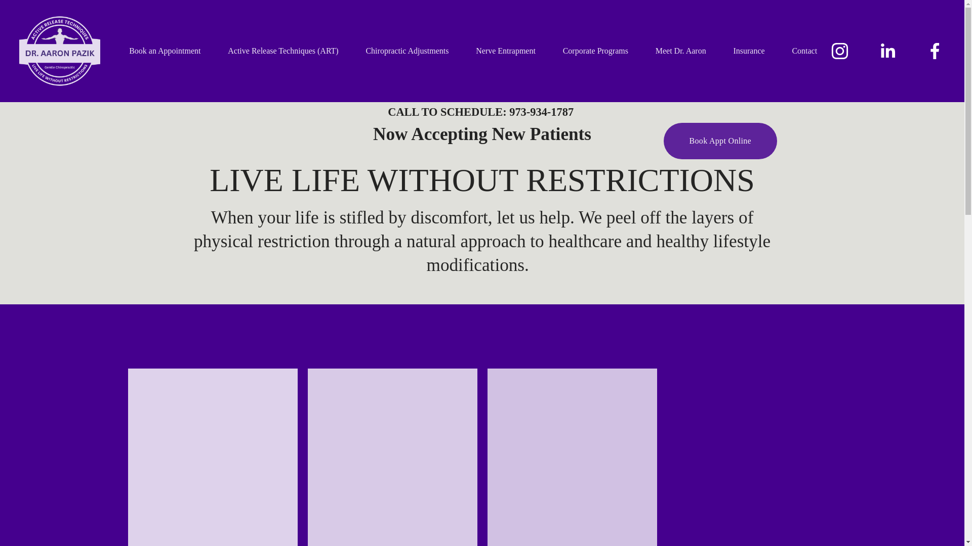 website screenshot of https://minneolachiropractic.com/
